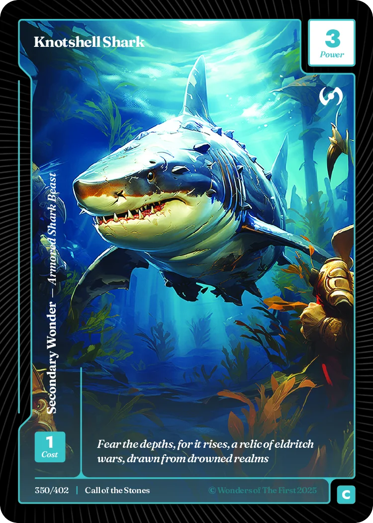 Knotshell Shark